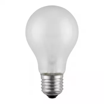 Scharnberger 40714 General Purpose Lamp B 60x105mm E27 24V 60W Matt