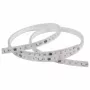 SYNERGY21 LED Flex Strip 2835 - 96 NW Pixel DC24V WS2811 IP65