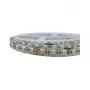 SYNERGY21 LED Flex Strip 2835 - 96 WW Pixel DC24V WS2811 IP65