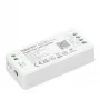 Synergy 21 LED valdiklis Matter serijos 2in1 vienspalvis / dviejų baltų (CCT) reguliavimas DC12/24V Matter per WiFi + 2.4GHz MiLight/MiBoxer (SM2)