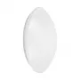 Osram SURFACE CIRCULAR 400 24W 830 IP44 LED sieninis/lubinis šviestuvas 3000K 1920lm