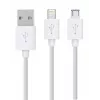 Rio DCWU-EU/1,6 USB dantų balinimo rinkinys