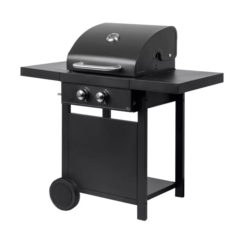 MASTER GRILL 2-Burner Gas Grill MG669