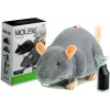 LEAN TOYS Didelė RC Pelė Ant Ratų Pilka - Iškrėsk Pokštą