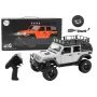 LEAN TOYS nuotoliniu valdymu RC 2.4G visureigis 4x4 pilkas
