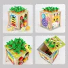 LEAN TOYS Medinis edukacinis kubas rūšiuotojas 5in1 dėlionės dėžutė blokeliai