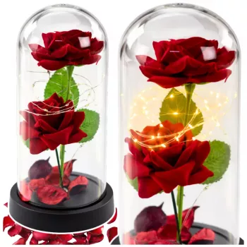 LEAN Eternal 2 Roses in Dome with LED Lighting and Rose Petals Red 21x11cm