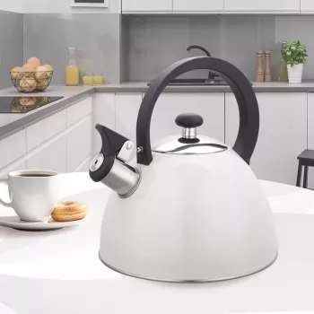 MEO Maestro Ne elektrinis virdulys 2,5L MR-1302-WG Nerūdijantis plienas