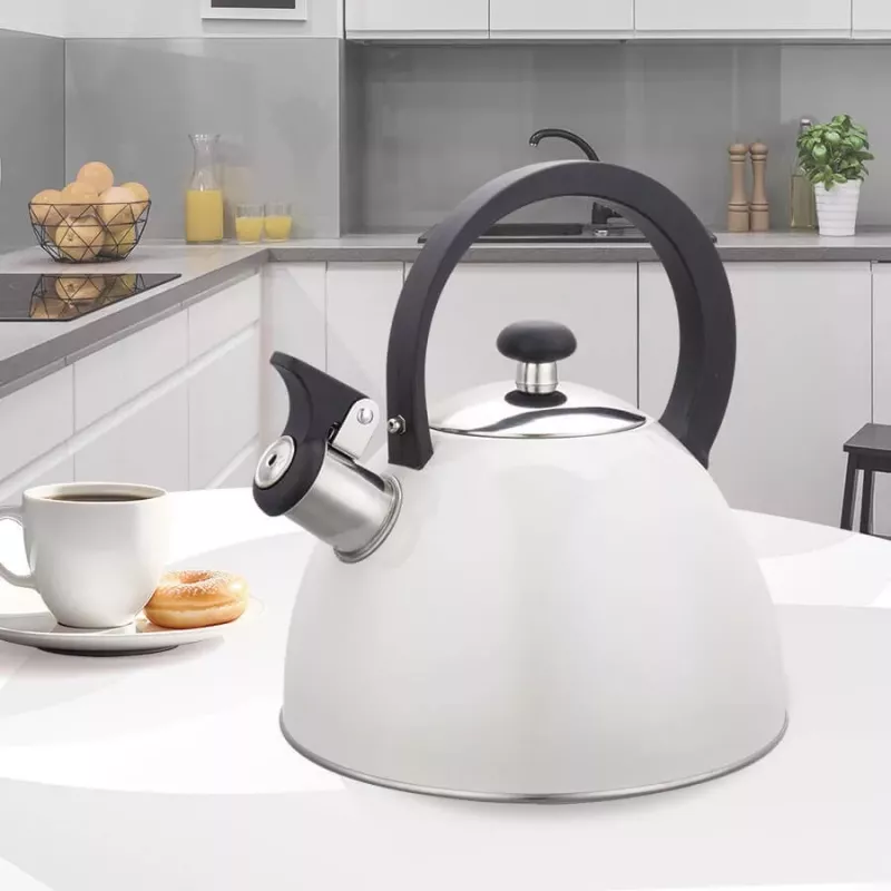 MEO Maestro Ne elektrinis virdulys 2,5L MR-1302-WG Nerūdijantis plienas