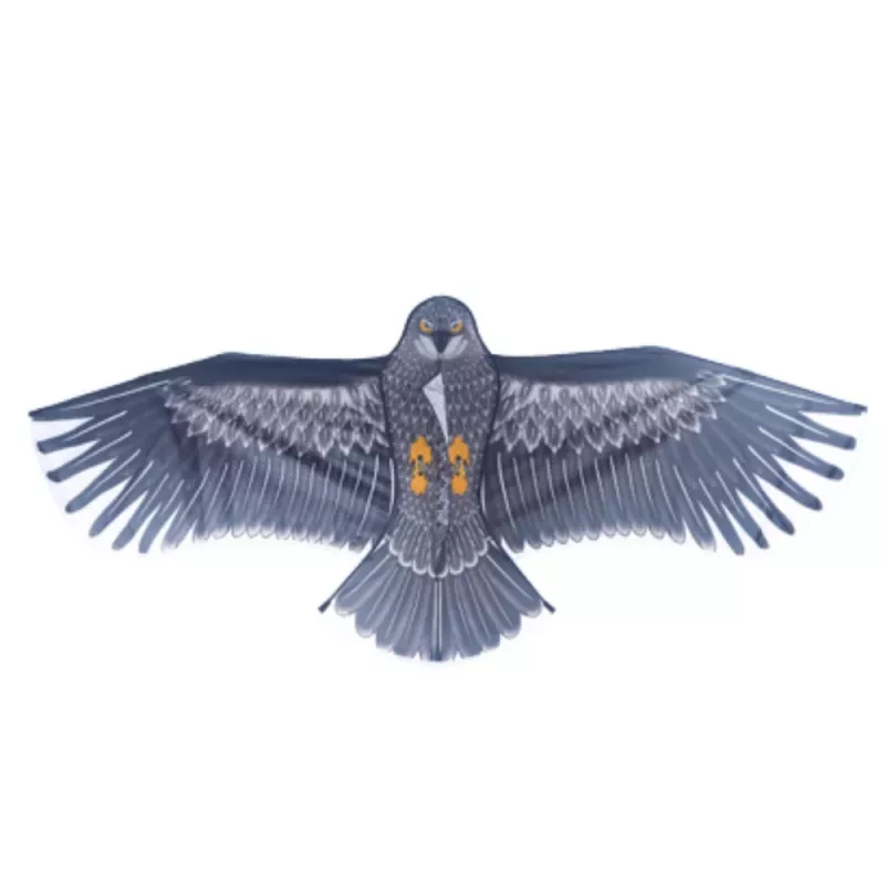 LEAN TOYS Eagle Bird-Shaped Kite with Rope Handle 150 x 70cm