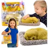 LEAN TOYS Miegantis labradoro šuniukas ant pagalvės figūrėlė su kailiu ir permatomu maišeliu