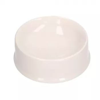 LEAN TOYS Kūrybinis rinkinys Šuns dubuo dažymui Dažai Teptukai DIY 6 vnt.