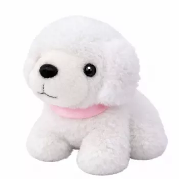 LEAN TOYS Grožio rinkinys Naminių gyvūnų salonas Kuprinė lagaminėlis 16 dalių