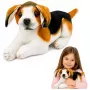 LEAN TOYS Pliušinis Biglio Šuo, Minkštas Žaislas, 25 cm