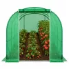 LEAN Polytunnel Garden Greenhouse for Vegetables PRO Frame 25 mm 8 x 3 x 2 m 24 m²