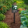 LEAN Solar Animal Repeller with Motion Sensor, Ultrasound, LED Diodes