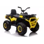 QUAD LOCK Electric Ride On Quad XMX607 for Kids with LED Lights MP3 - Geltona