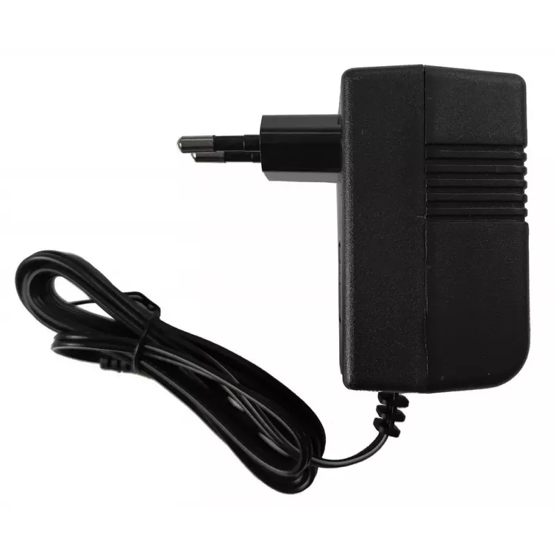 LEAN CARS Electric Ride On Car Battery Charger 6V