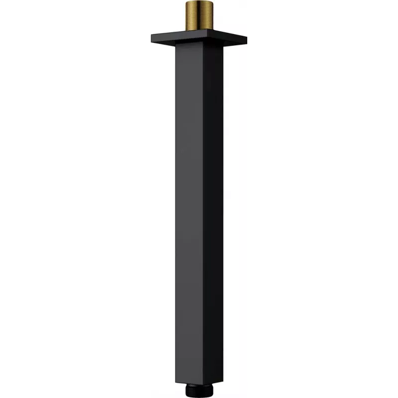 DEANTE lubinis dušo antgalis 250 mm matinė juoda Arnika Nero