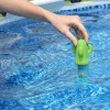 Bestway 58763 Plūduriuojantis termometras SPA baseinams, kaktuso žalias