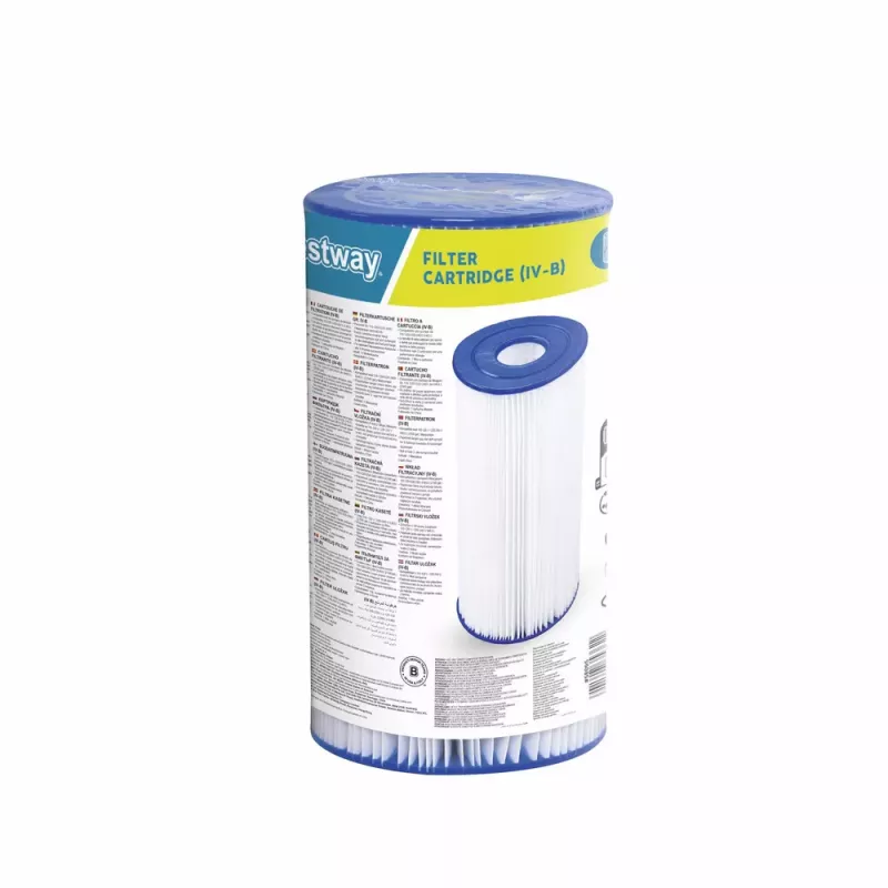Bestway 58095 Type IV Pump Filter for Flowclear Above Ground Pools