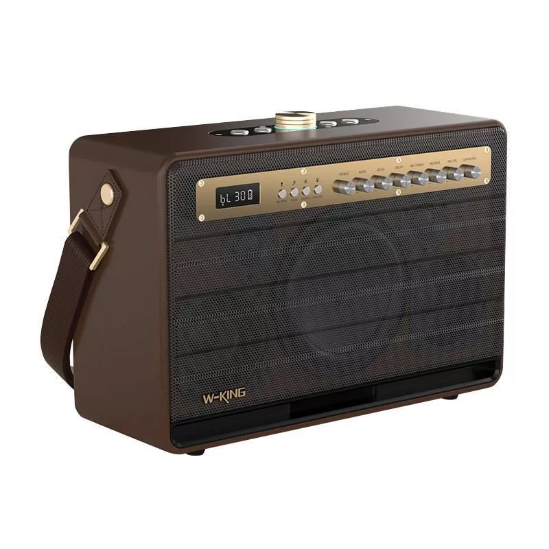 W-KING K6L 120W nešiojamas Bluetooth garsiakalbis, ruda