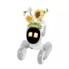 Megztas kostiumėlis Loona Premium Sunflower