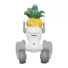Megztas kostiumas Loona Premium Pineapple