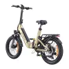 ENGWE L20 3.0 BOOST 250W 20 inch Electric Bike (Gold)