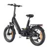 ENGWE L20 PRO 3.0 250W 20 Electric Bike (Juoda)
