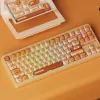 AKKO TAC87 Bun Wonder Tenkeyless mechaninė klaviatūra - kelių režimų RGB karštai keičiama