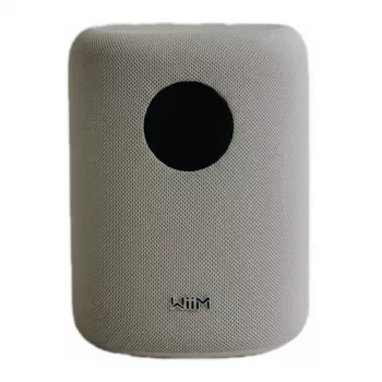 WiiM LPWISNDW Sound Smart Speaker, White