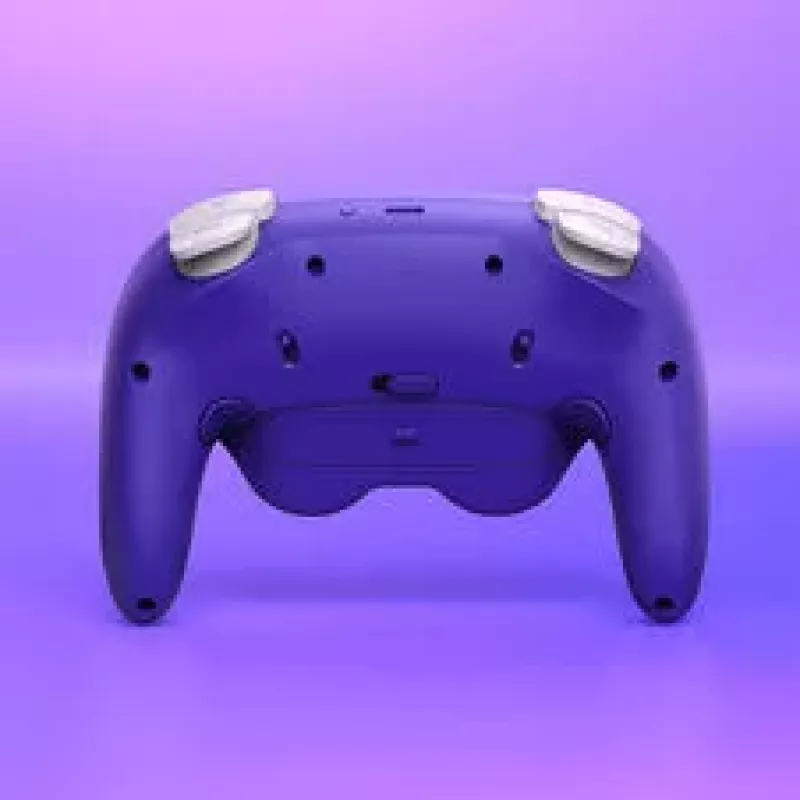 NYXI Warrior Switch 1 & 2 valdiklis - Violetinis