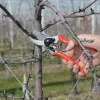 FELCO 2 Classic Bypass Pruning Shears - 25mm Cutting Capacity, Ergonomic Design