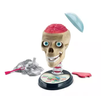 Clementoni Naukowa Zabawa Szalona Anatomia - Język polski - 50697