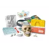 Clementoni Naukowa Zabawa Szalona Anatomia - Język polski - 50697