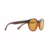 Red Bull Spect Ever Polarized Sunglasses - Havanna/Brown/Bronze