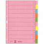 LEITZ A4 10 dalių tušti skiriamieji lapai, įvairiaspalviai, 130 gsm, sustiprintos skylės 4340-00-00