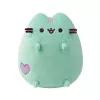 Mint Pastel Pusheen 18 cm
