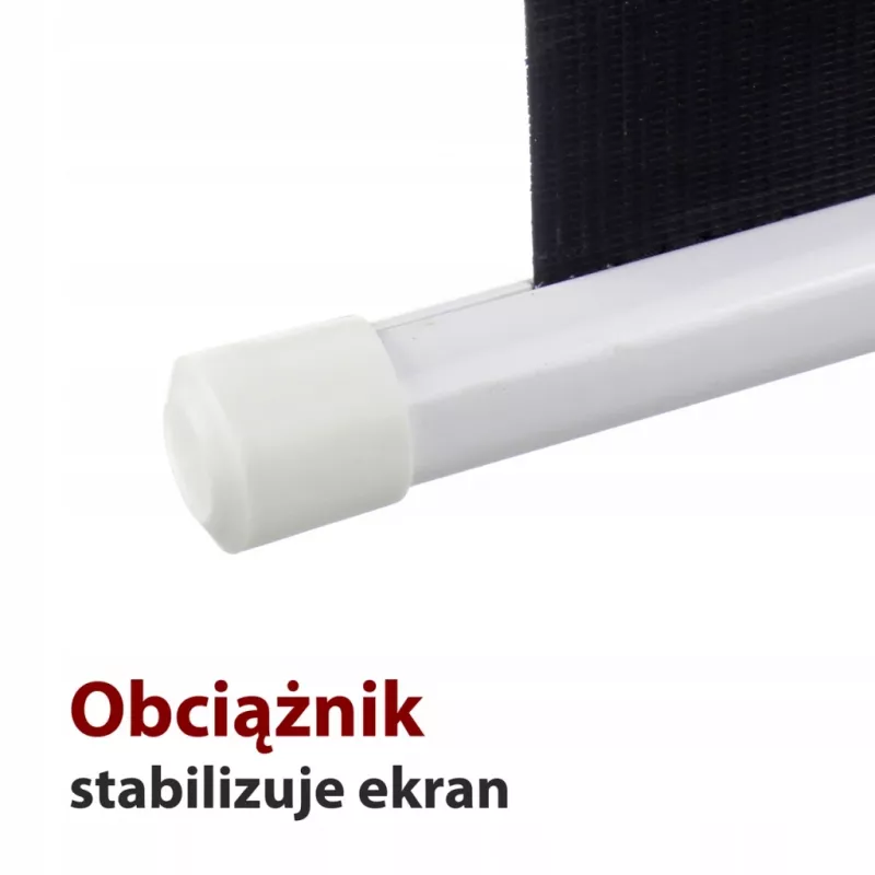 Elektrinis ekranas 16:9 106 su nuotolinio valdymo pultu 234x131cm FS-106 16:9