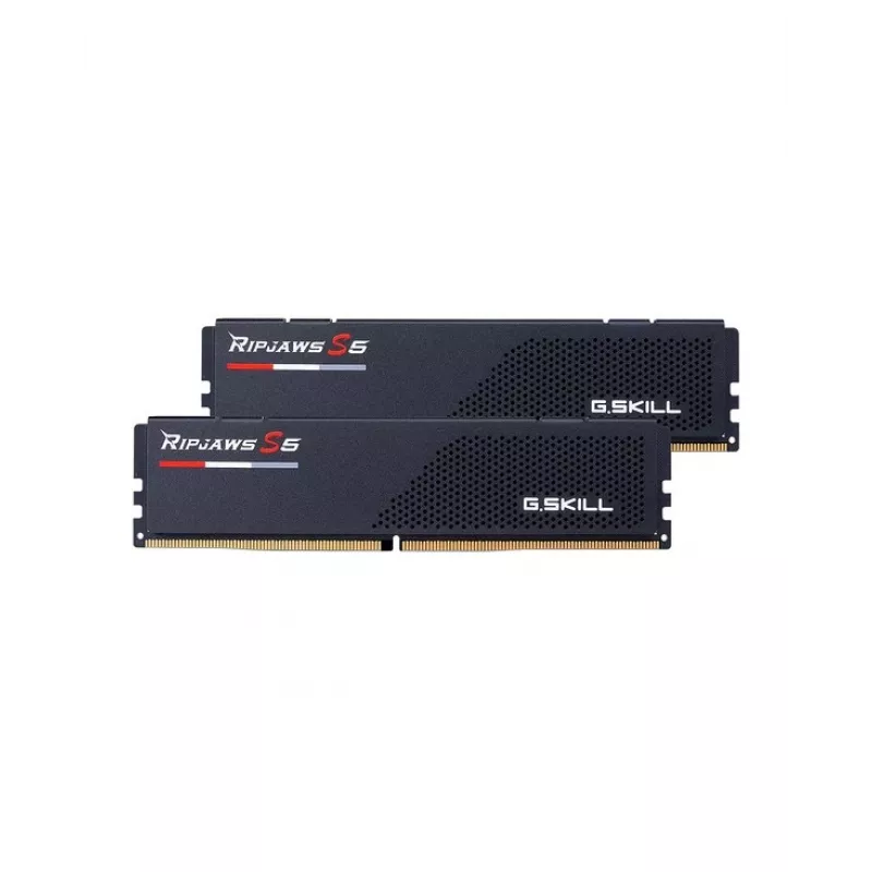 G.skill F5-6400J3648F16GX2-RS5K atminties modulis