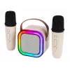 Karaoke garsiakalbis, KARAOKE RGB Bluetooth garsiakalbis, 30W