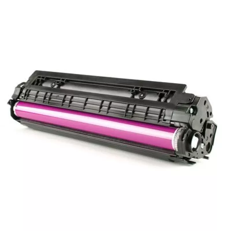 Ricoh 842313 kasetė su toneriu 1 vnt. Originali rausvai raudona