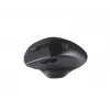 Natec Genesis Juodabird 2 pelė RF belaidė optinė 1600 DPI