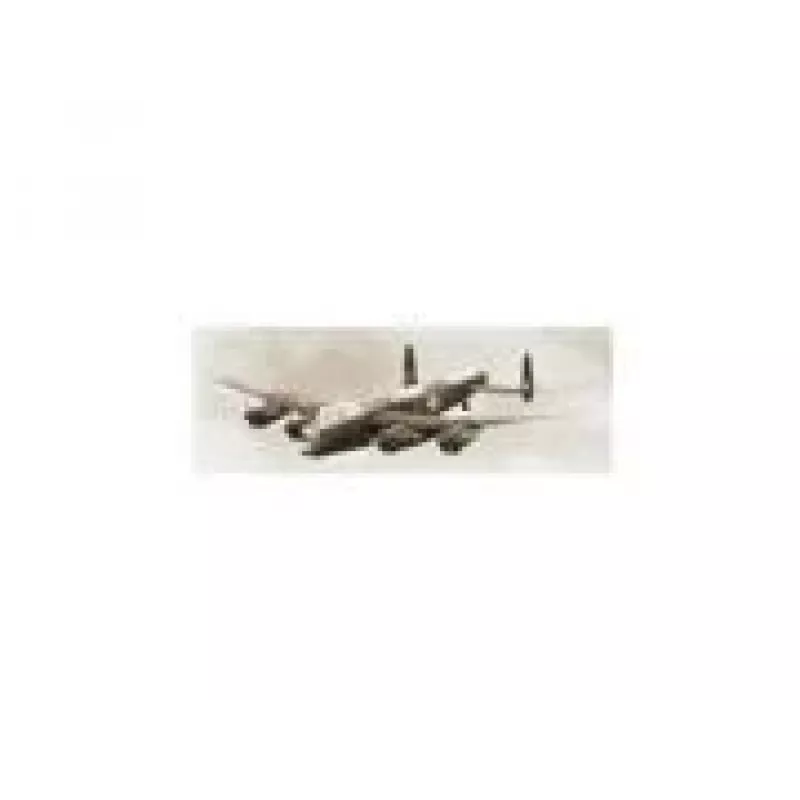 Revell Lancaster B. Iii Dambusters (04295) 1:72 mastelio lėktuvo plastikinis modelio rinkinys