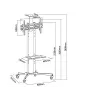 Maclean MC-661 Juoda