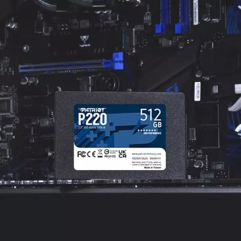Patriot P220S512G25 saugojimo diskas Serial ATA III