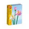 LEGO konstruktorius LEGO 40647 Lotosai — Botanical Collection modulinis modelis, 220 dalių, aukštis 300 mm, amžius 8+