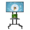 Monitoriaus laikiklis Maclean MC-739 165.1 cm (65 colių) ant grindų Juodas