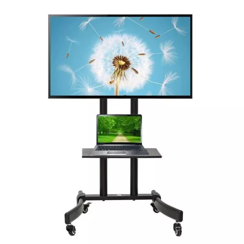 Monitoriaus laikiklis Maclean MC-739 165.1 cm (65 colių) ant grindų Juodas